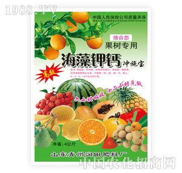 ��(r��n)��-������}�����䌣�ã�