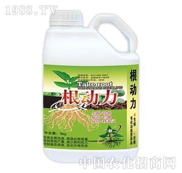 ��(r��n)��-����(d��ng)��