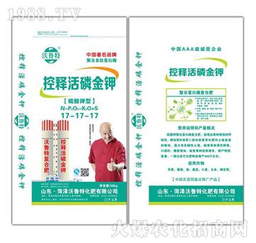 ������Ϳ�ጻ��׽��17-17-17-������