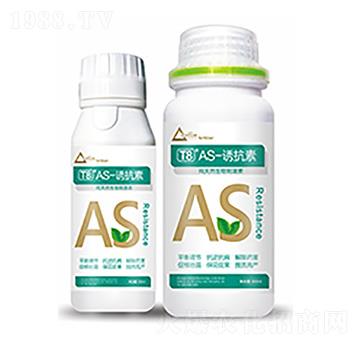 T8��AS-�T����-�����Ƽ�