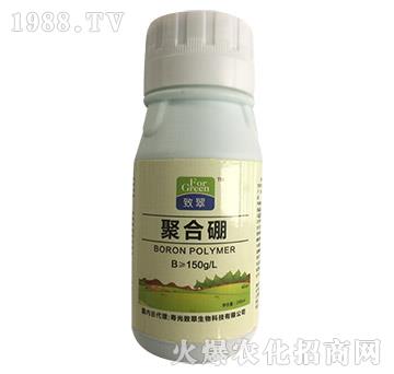 �ۺ���-�´�����