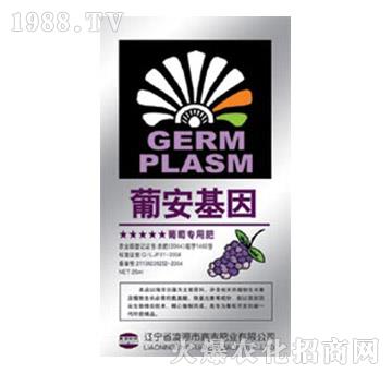 ���ь�(zhu��n)�÷�-�ϰ�����-�μ�