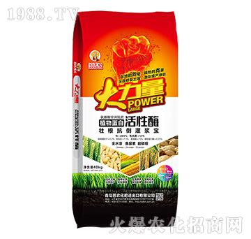 ֲ�ﵰ�׻���ø-������-�W�S�ʘI(y��)