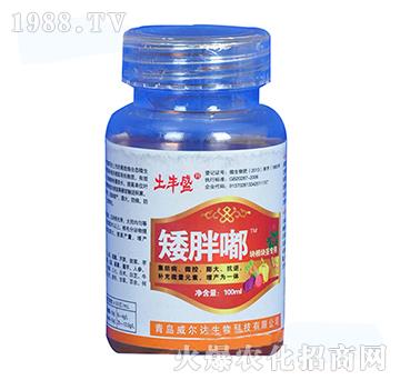 ֲ���{(di��o)��(ji��)�����K���o��(zhu��n)�ã�-�����-�����_(d��)