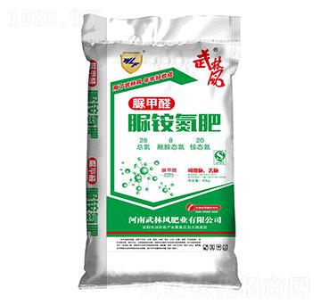 ���@����-�����L