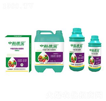 �Ǵ�������Ԫ��ˮ�ܷ���-�Ƶ�