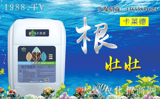 �����R���r(n��ng)�I(y��)��ȫ�w�T����ףȫ����(j��ng)�N�����w�������f��������