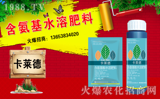 �����R���r(n��ng)�I(y��)��ȫ�w�T����ףȫ����(j��ng)�N�����w�������f��������