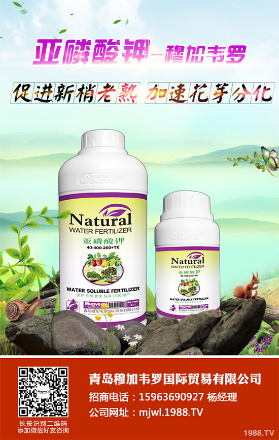 ���{ܛ��������Щ�Y����F(xi��n)������ΰl(f��)���������{ܛ�����A(y��)����ʩ