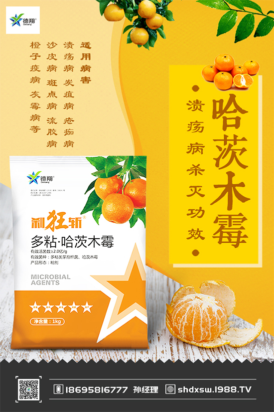 ���{(l��n)�ڰ߲�Σ���@ô��������ԓ��η��������(l��i)��������