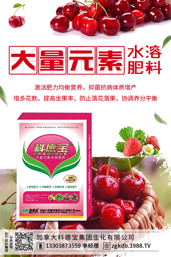������(ji��)�N��ᘹ����������������(ji��)��ᘹ�����������