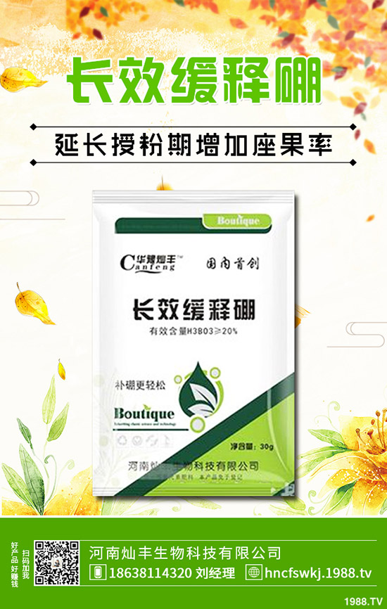 ���X�ݺ��~�X����ʲô��ͬ�����X�ݺ��~�X�ݵą^(q��)�e��Щ��