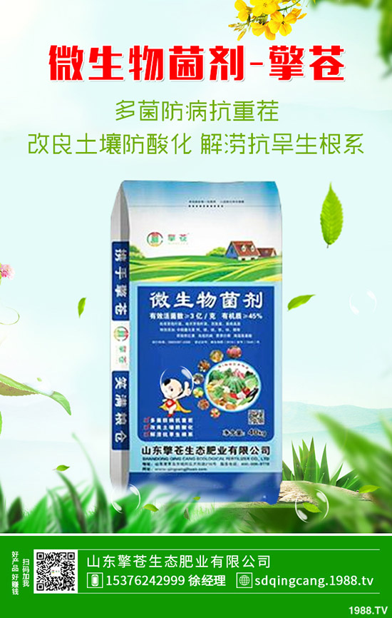     ���؃r(ji��)���B�m(x��)�µ����������������߄�(sh��)����2019-10-17