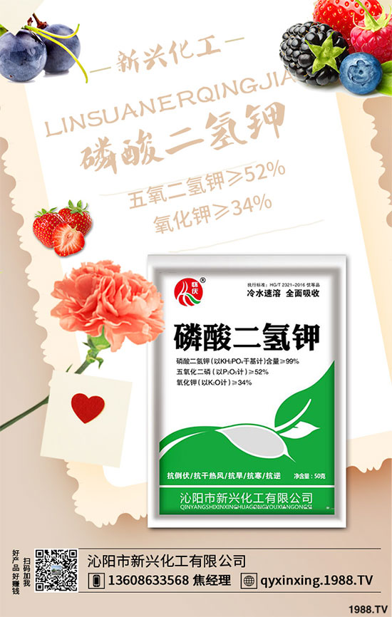 ���[�B��Σ����������ԓ��ν�Q�����[�B���ϵK���߮a(ch��n)�������g(sh��)��