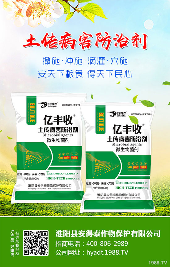 ���}���Ĺ�Ч�c���������}���I(y��ng)�B(y��ng)�r(ji��)ֵ��