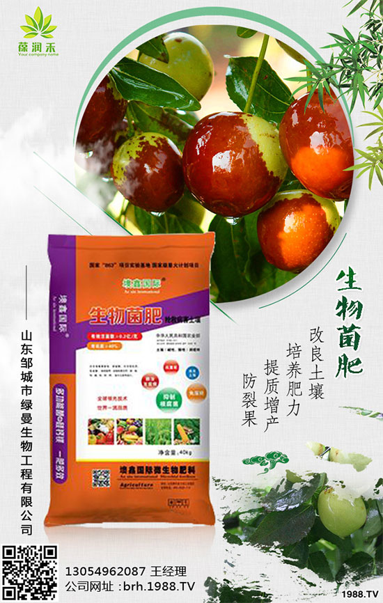 大棚西紅柿怎么栽培？大棚西紅柿高產(chǎn)栽培！