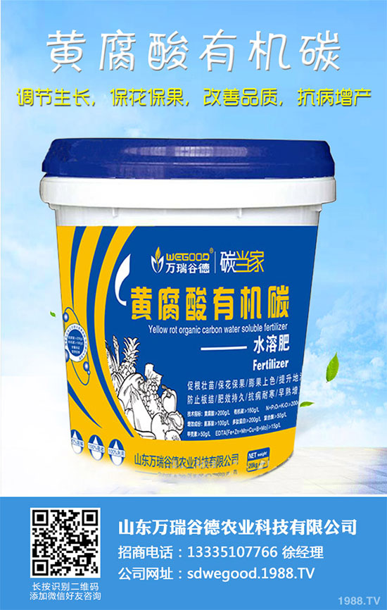 С�ײ�ʲô�r��Nֲ��С�ײ˸߮a�Nֲ���g