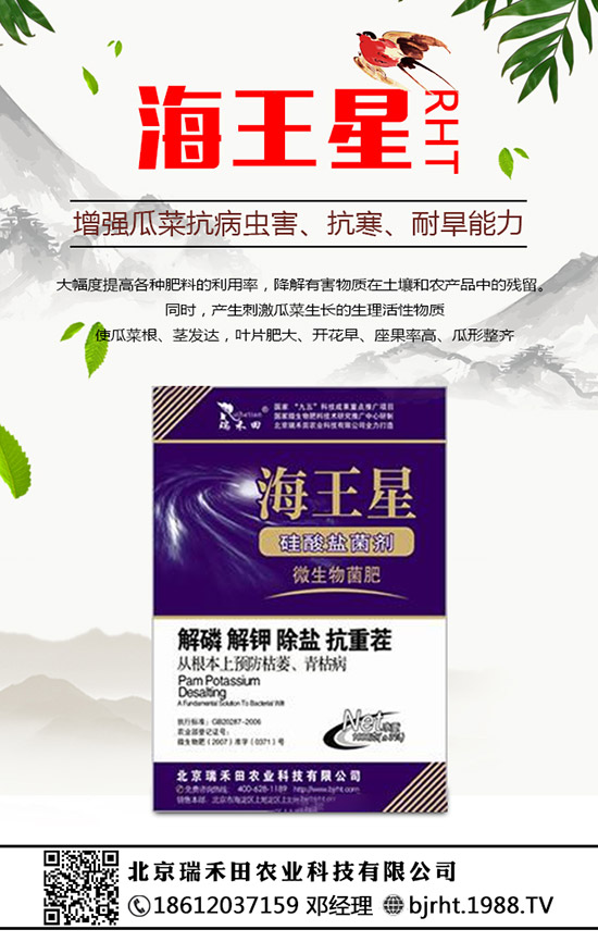 ���N�����B(y��ng)�������N���B(y��ng)ֳ������ע�������