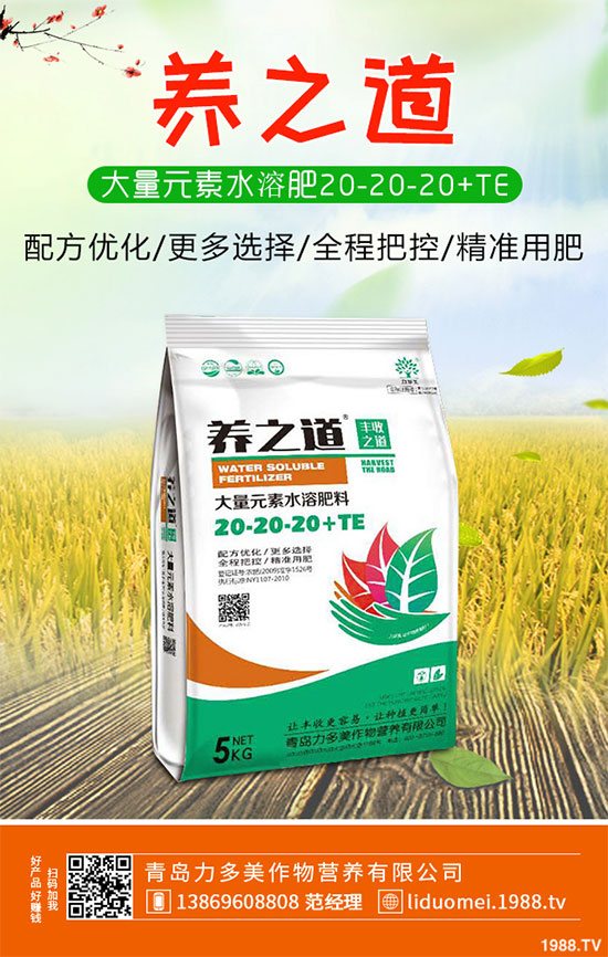 �ײ˰��P��Σ���@ô��������ԓ��η������ײ˰��P�����δ�ʩ