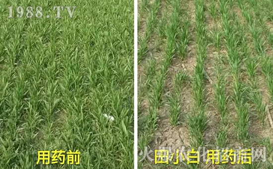 ��(ji��)��(ji��)����η�������ʲôˎ����ô��ˎЧ���ã�