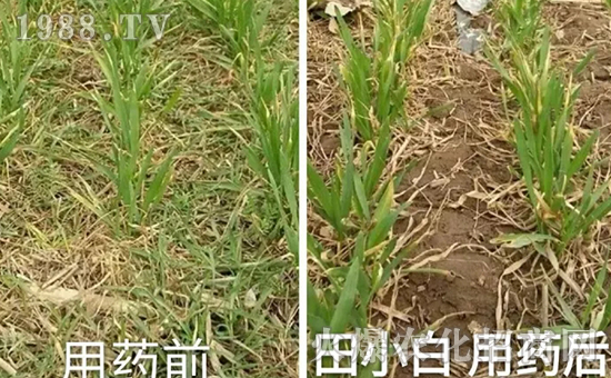 ��(ji��)��(ji��)����η�������ʲôˎ����ô��ˎЧ������