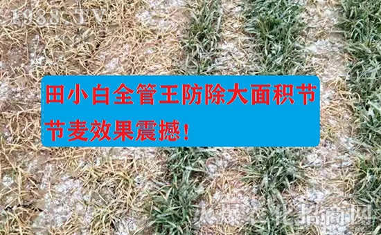 ��(ji��)��(ji��)����η�������ʲôˎ����ô��ˎЧ������