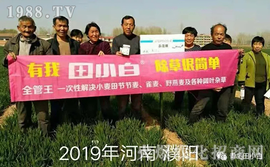 39��(ji��)��(ji��)����η�������ʲôˎ����ô��ˎЧ������