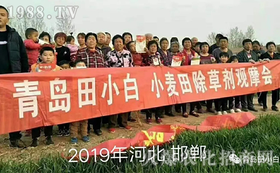 ��(ji��)��(ji��)����η�������ʲôˎ����ô��ˎЧ������