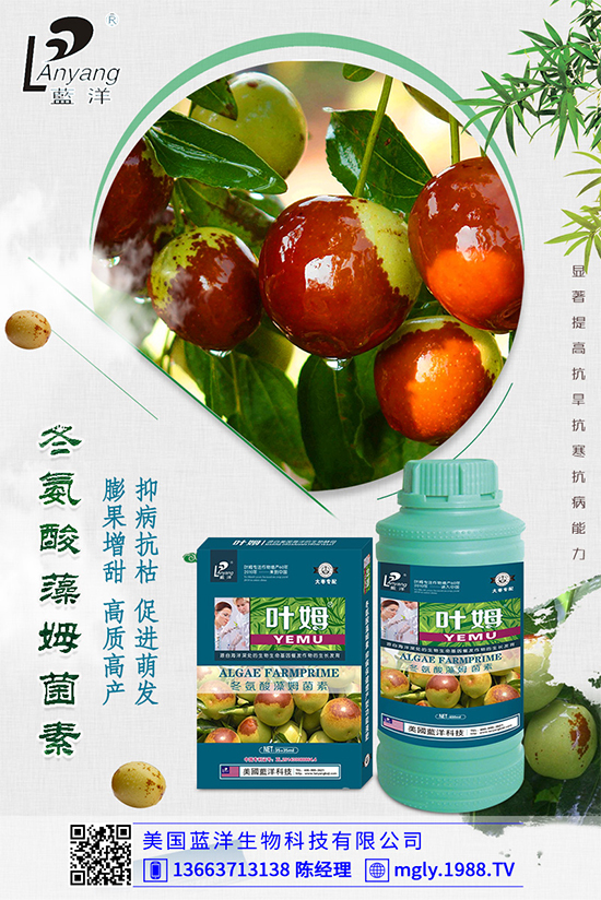 �ײ�ܛ��������������������ЩΣ�����ײ�ܛ�����İl(f��)���c����