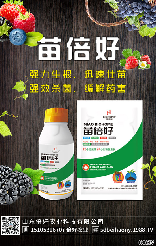 ����ʲô�r(sh��)��Nֲ������ʲô�r(sh��)�������