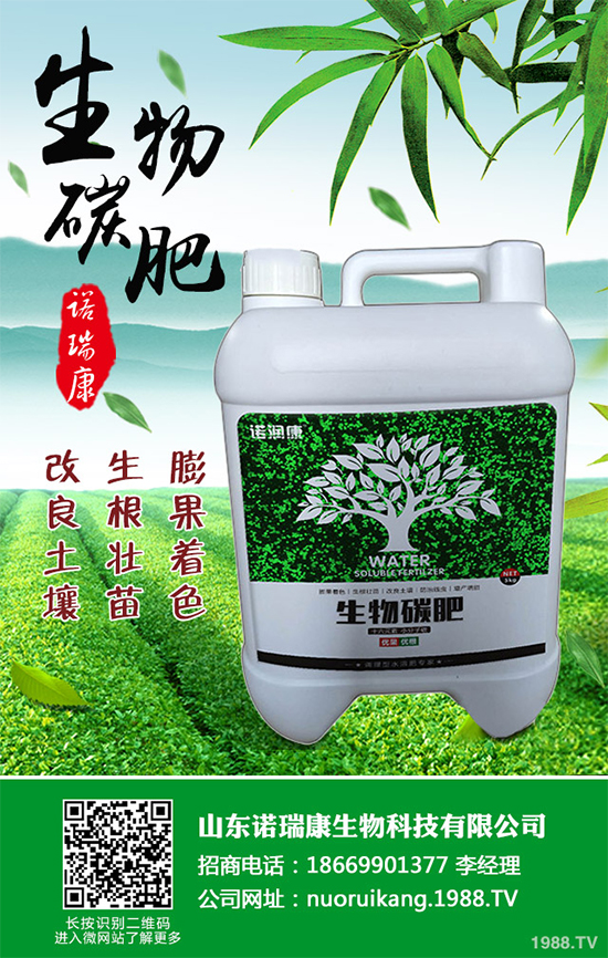 ����������ԓ��ô�N�������@���c���p�ɷN����������