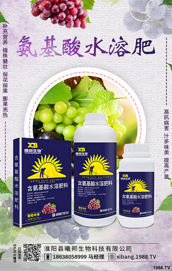 �＾�}����ô�Nֲ���＾�}���Nֲ���g(sh��)������Ҫ�c(di��n)��