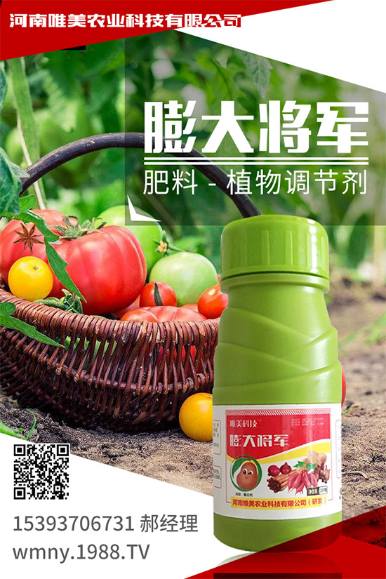 ������ô�Nֲ�������߮a�Nֲ����