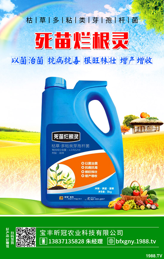 ��ô�Nֲ�_�h�����_�h���Nֲ������B��