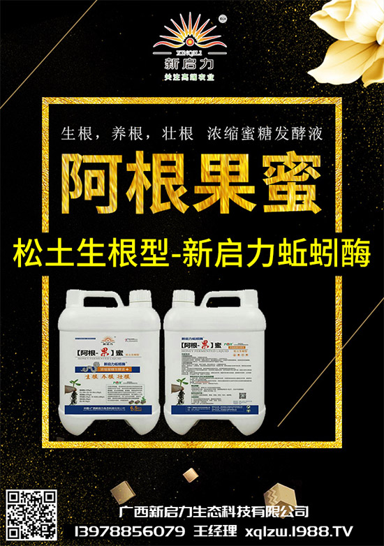 ���{(l��n)��Ä������ЩΣ��������{(l��n)�����İl(f��)���c���μ���