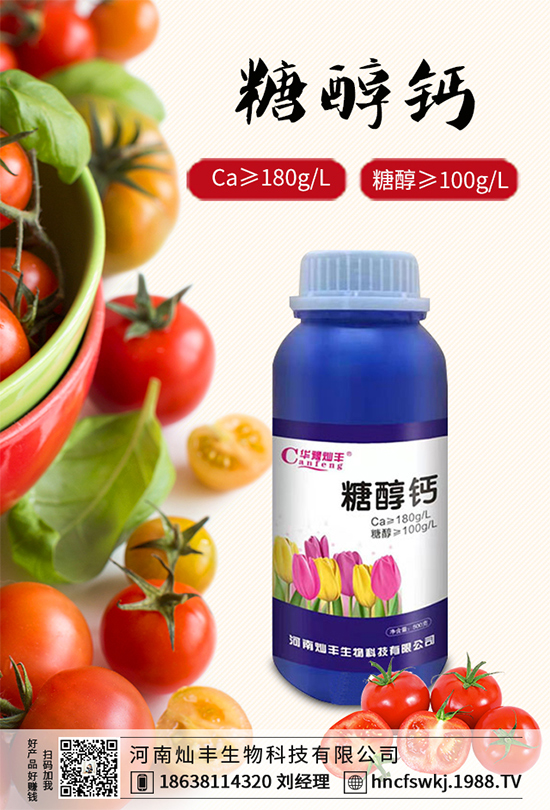 ���{(l��n)���ݲ����u������ԓ��η��������{(l��n)���ݲ����δ�ʩ