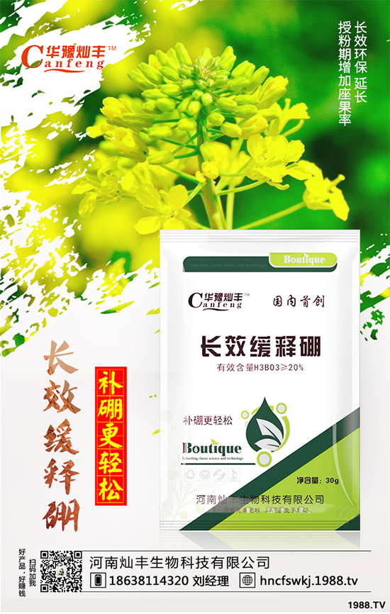 ���{(l��n)���ݲ����u������ԓ��η��Σ����{(l��n)���ݲ����δ�ʩ