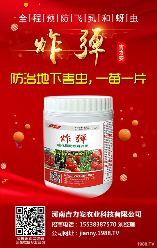 �۲˵Ĺ�Ч�c��������Щ�˲��ܳ��۲ˣ�