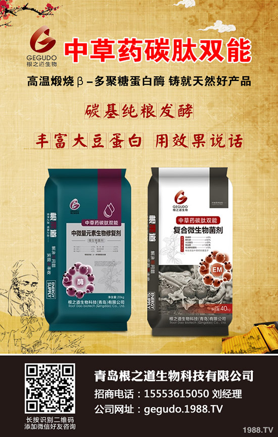     ���ص����ɱ�����2019��11����(n��i)�����Ј�(ch��ng)�����߄�(sh��)�A(y��)�y(c��)��