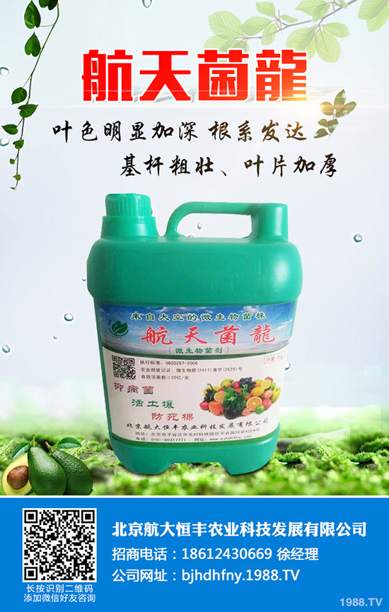���ֹϵķNֲ��������Щ�����ֹ���ηNֲ�׸߮a(ch��n)��