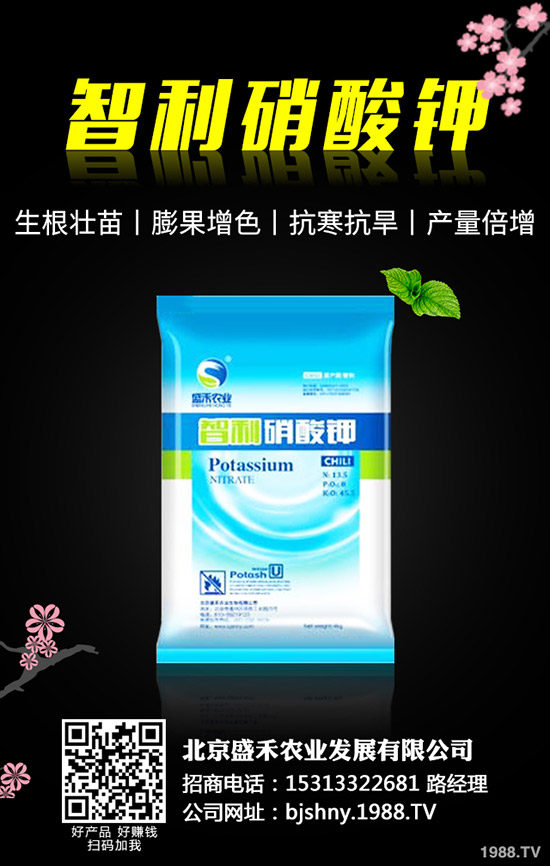 �ڶ�ʲô�r��Nֲ���ڶ��ķNֲҪ�c����Щ��