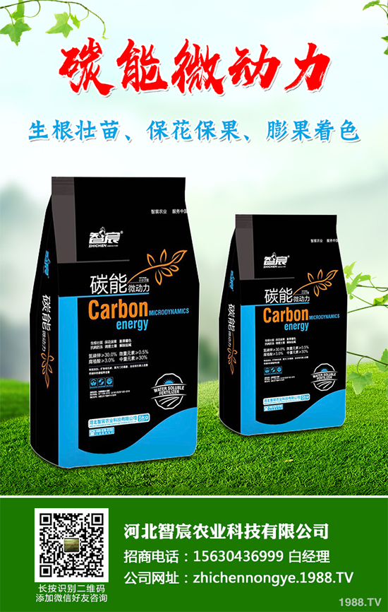 ���������߲˷Nֲԓע��ʲô����ӛ�e�M(j��n)�@�����`�^(q��)