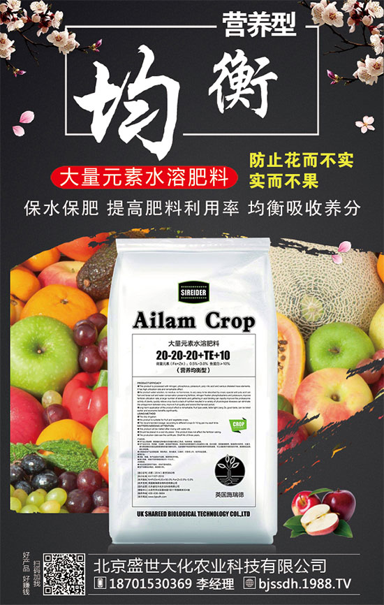 ���ӵĠI(y��ng)�B(y��ng)��Σ��t���ֵĹ�Ч�c������