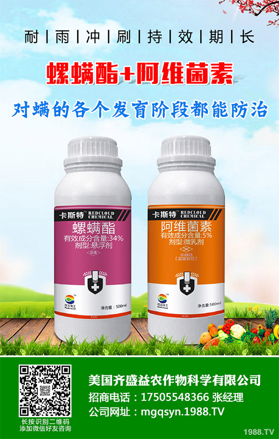 �����嚢�x���r��