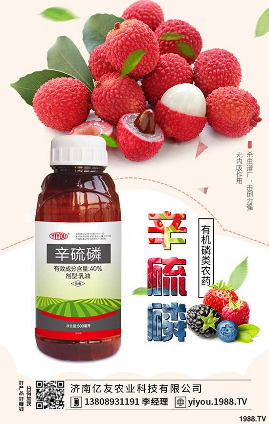 �x(ch��ng)�����x(ch��ng)���r(ji��)��