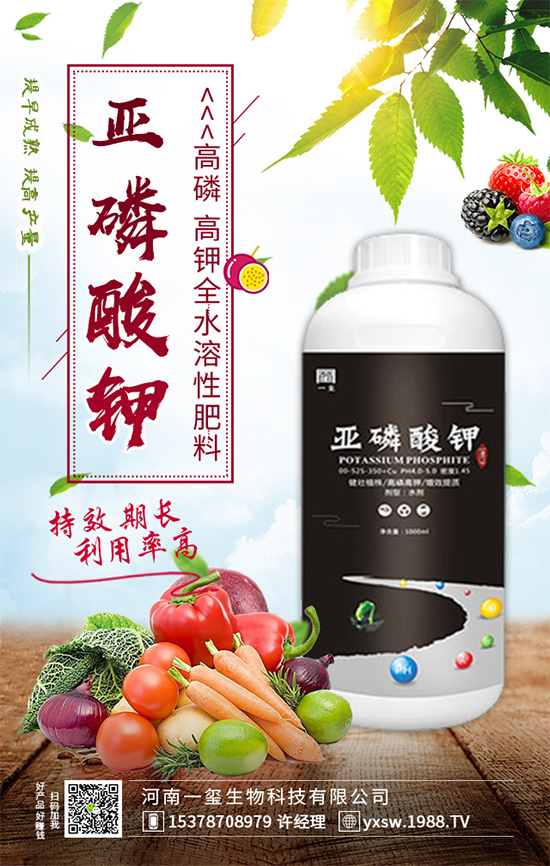 ���Ҙ��ʲô���Y(ji��)�������Ҙ䲻�Y(ji��)����(sh��)�ĵĽ�Q������