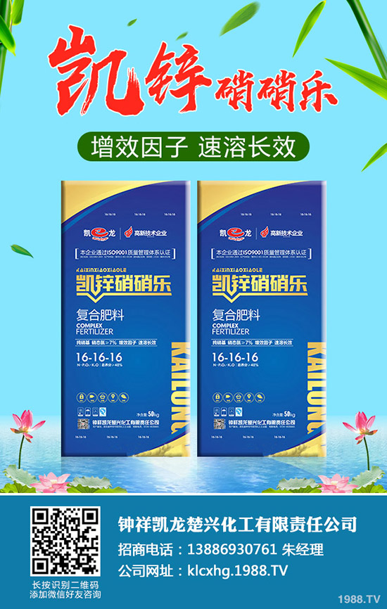 ʲô���ЙC��ײ����ЙC��ײ˷NֲҪ�c����Щ��