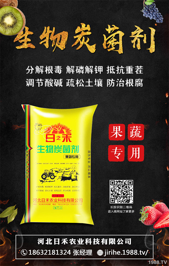 ���[��ֲ�������ˆ������[��ֲ����ֲ���������