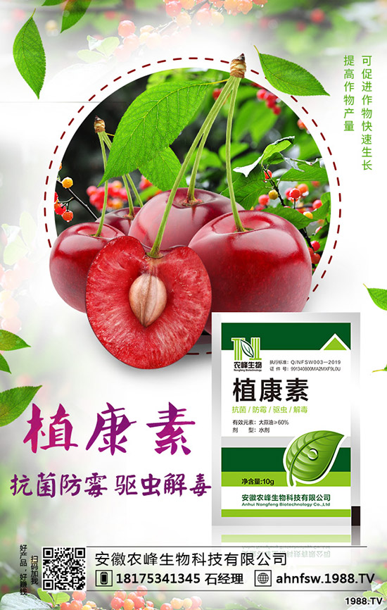 ��(d��ng)�w��ô�Nֲ����(d��ng)�w�NֲЧ�漰���༼�g(sh��)��