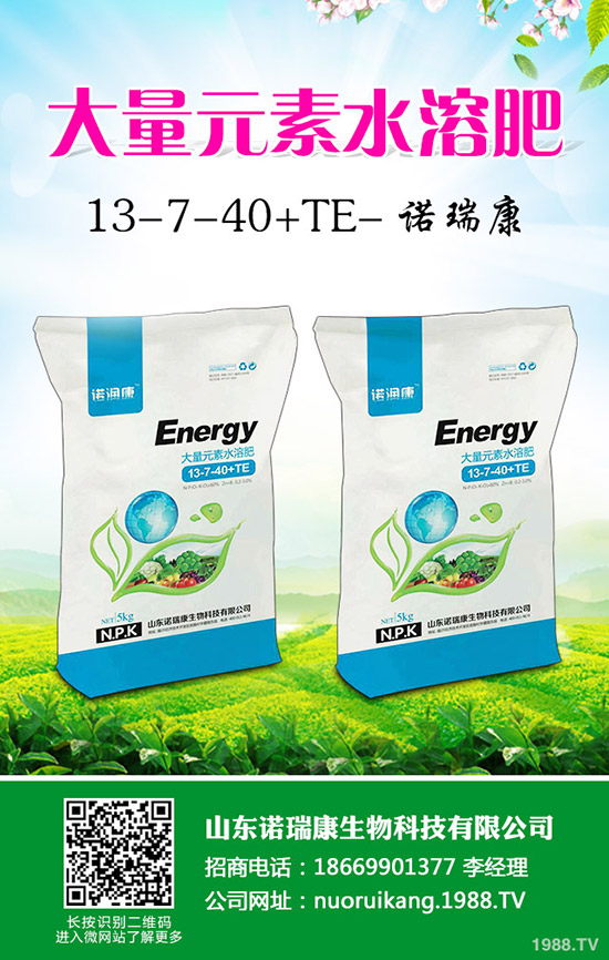     ��(gu��)��(n��i)�������镺��(w��n)��2019��11��22�ո��؅^(q��)�����������S��(b��o)�r(ji��)һ�[